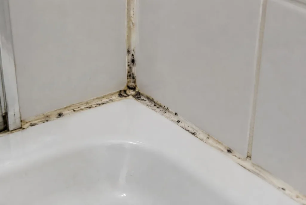 Kitbedrijf Dordrecht – beschimmelde kitranden